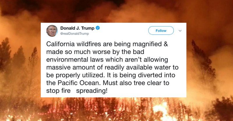 we asked an expert about trump’s baffling wildfire tweets. here’s what they had to say