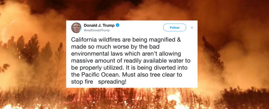 we asked an expert about trump’s baffling wildfire tweets. here’s what they had to say
