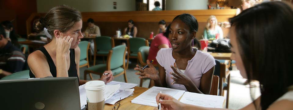 level up for the environment with a graduate degree from ucla institute of the environment and sustainability