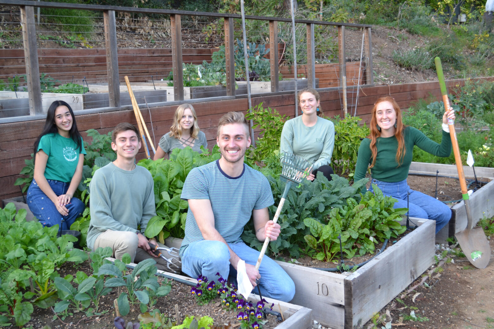 community garden glory