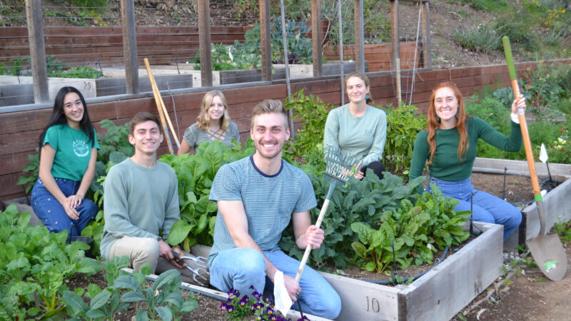 community garden glory