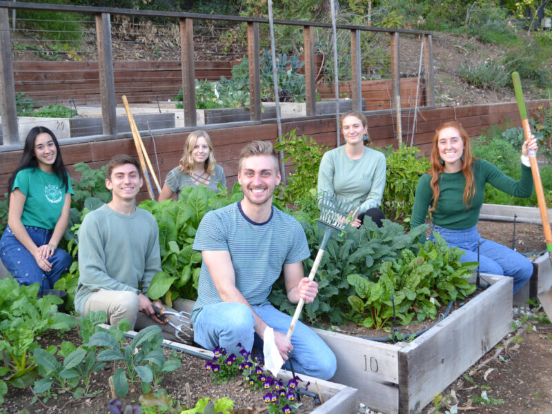 community garden glory