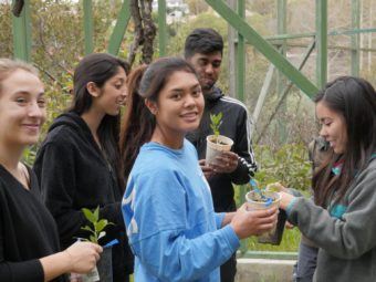 ucla student wins award for climate action and social justice