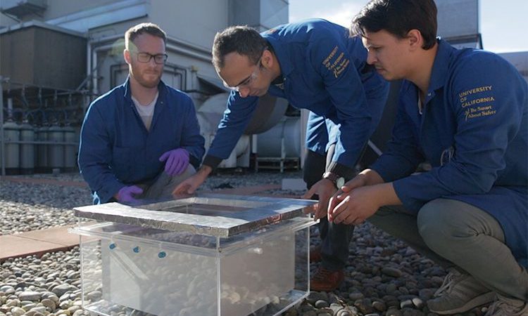 this device pulls water out of desert air