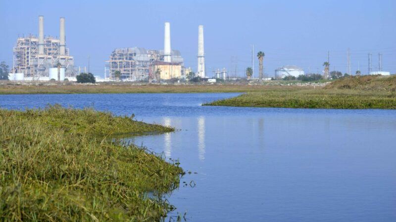 zinc pollution sources in the los cerritos watershed